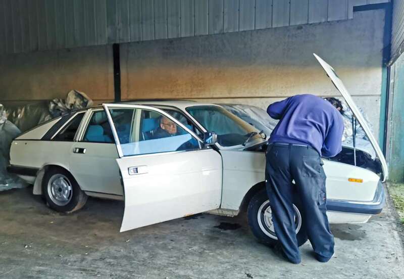 IMG_20250303_141412 broad.jpg