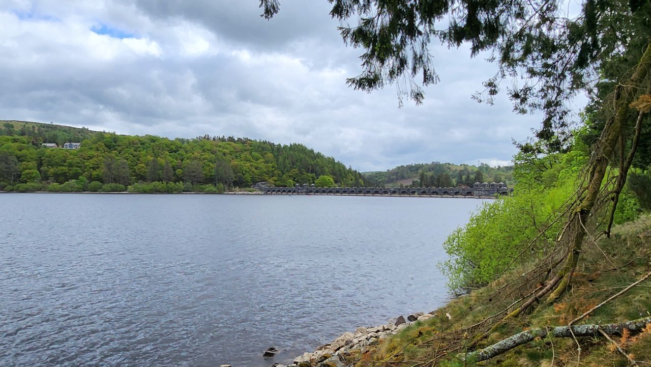 20250505_120206.jpg.6b690023ed003a37d041c84df1d67a6c.jpg