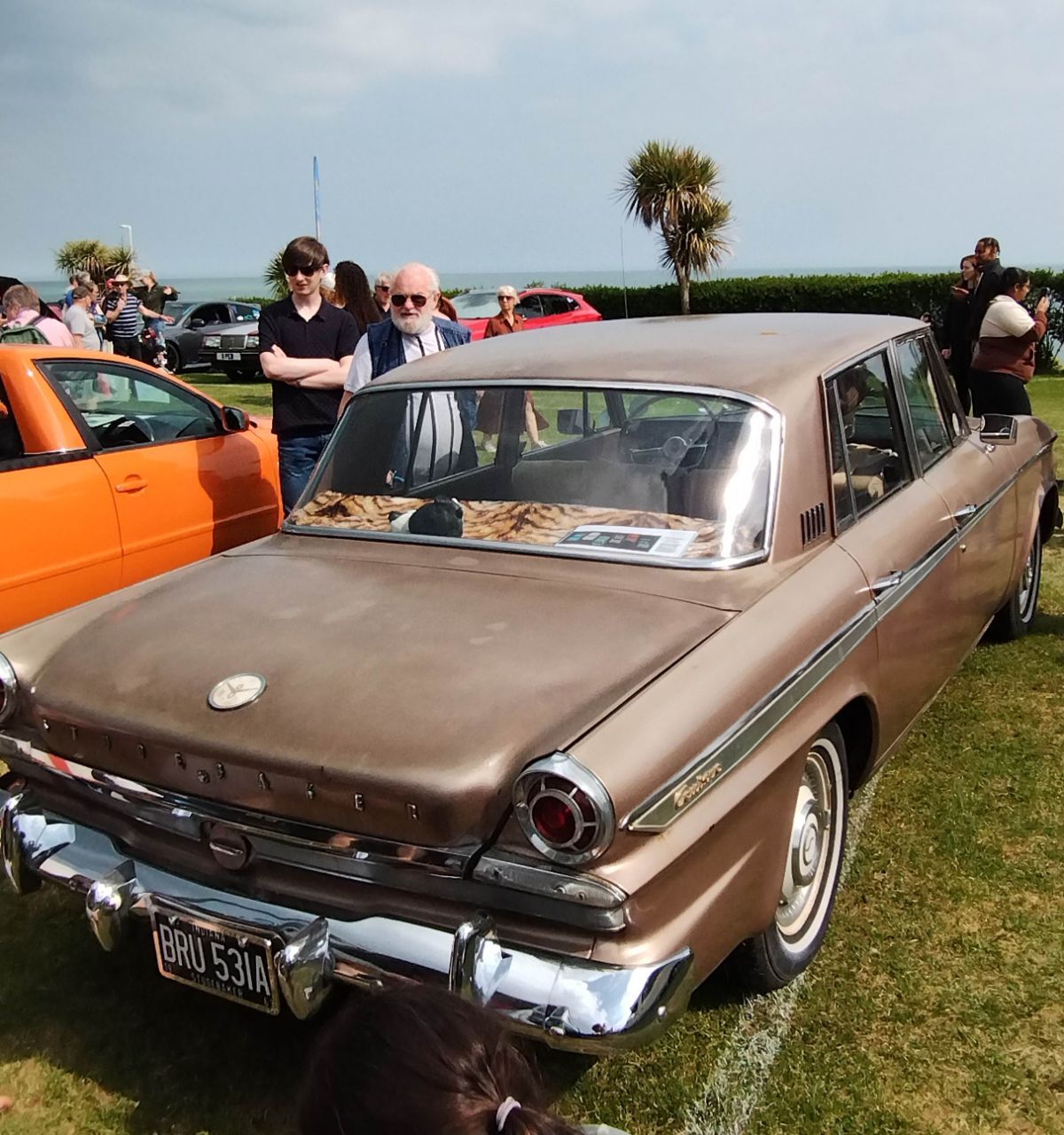 BRU531A2.jpg.0455e656c323371326c2636ff3dc7153.jpg