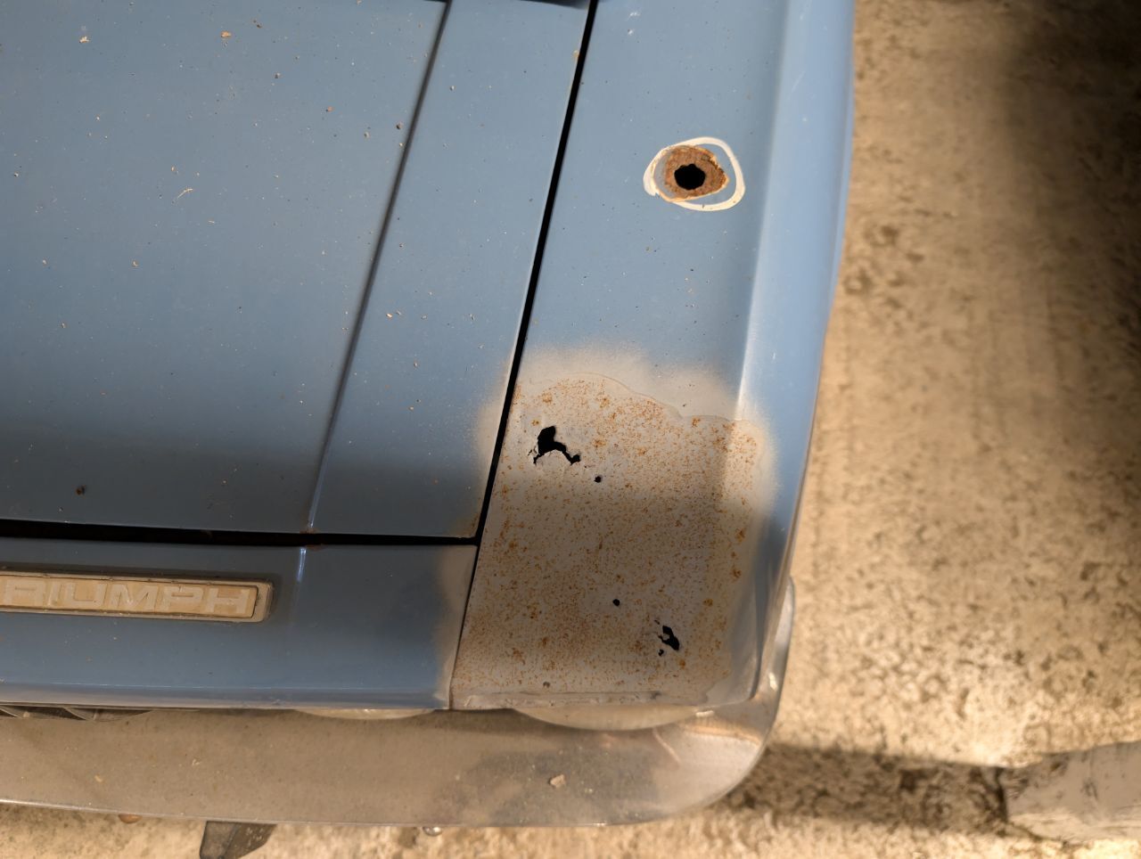 PXL_20250501_145011328.jpg.34fae72ab7bb7b65f5e49728c201d00c.jpg