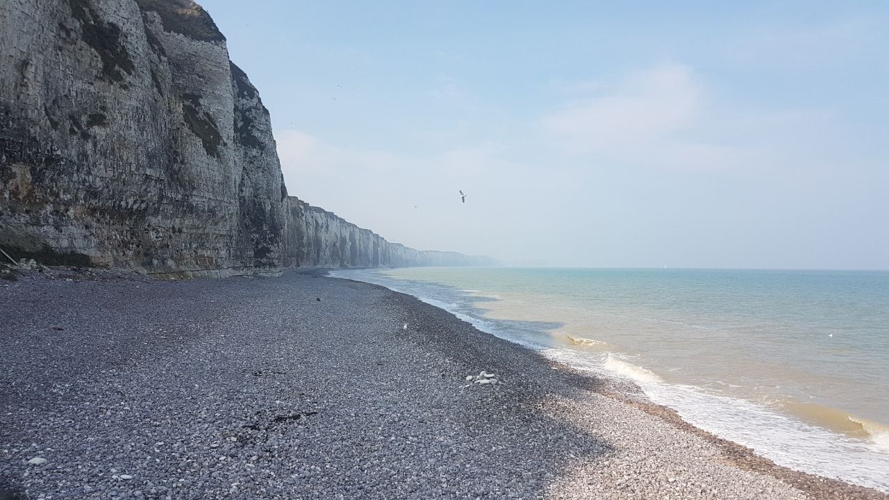 20190406_115812.jpg.1b5c1be4498fc6479d6a0ac81d16f6d2.jpg