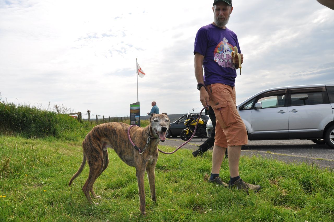 DSC_8968.JPG.f9574e16d6076a65b7b3456182b05c5a.JPG