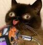 JMotor