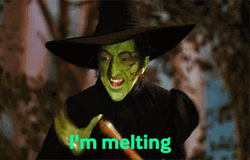 wicked-witch-of-oz-screaming-im-melting-ygzg1rvx31qt143c.gif.3cfb0645035bdaafb5212b604b3dfa6e.gif