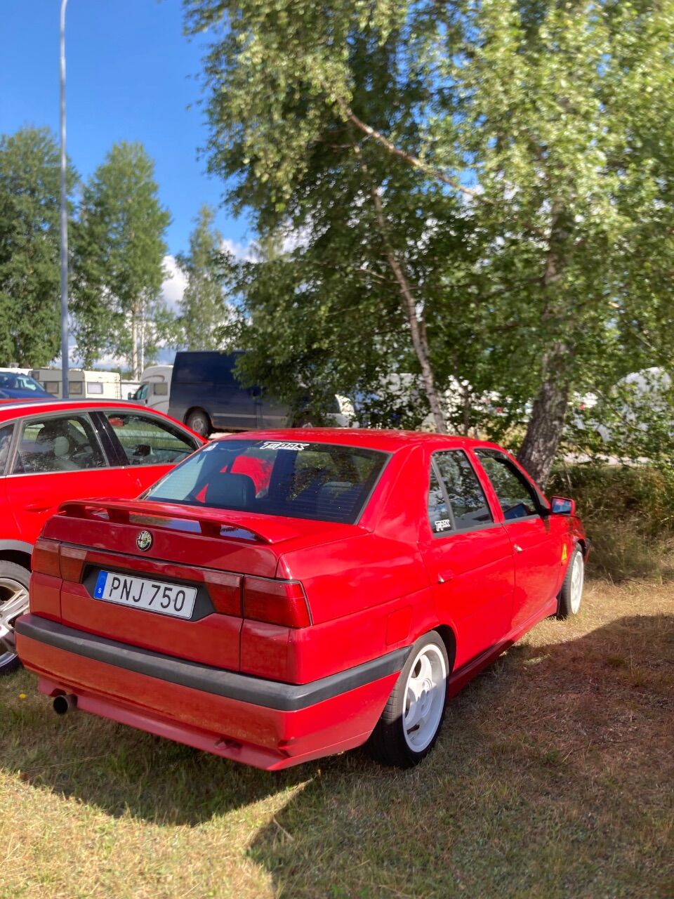 IMG_6593.jpeg.009d86241615ace5a71f9d6d4d074997.jpeg