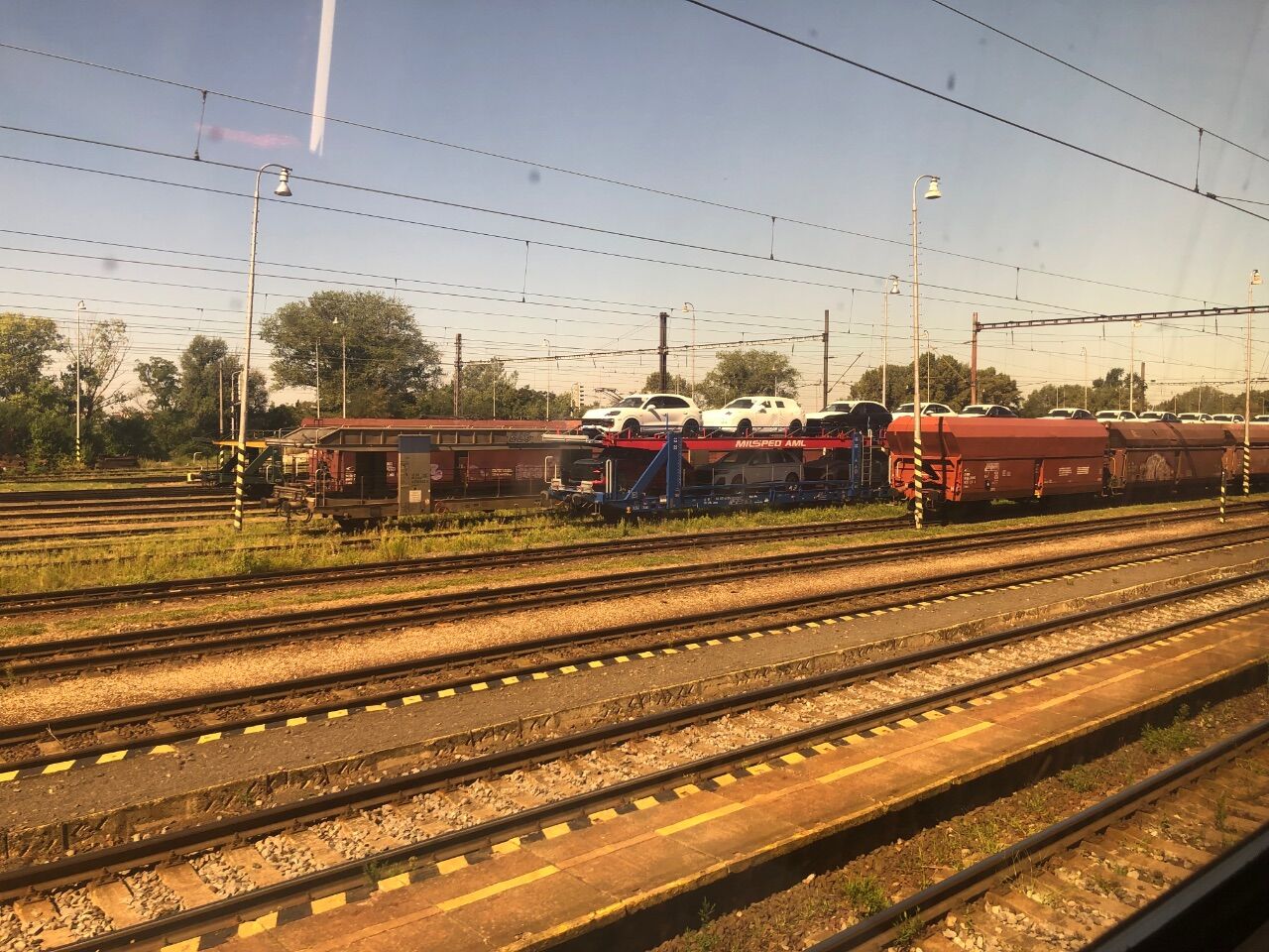 IMG_5922.jpeg.f77431d9ab56453ea4f40c1911928a78.jpeg