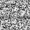 alcyonecorporation