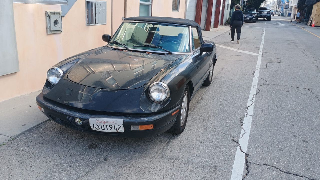 ALFA2.jpg.e5079330c31c7edec47017c7c5963fcd.jpg
