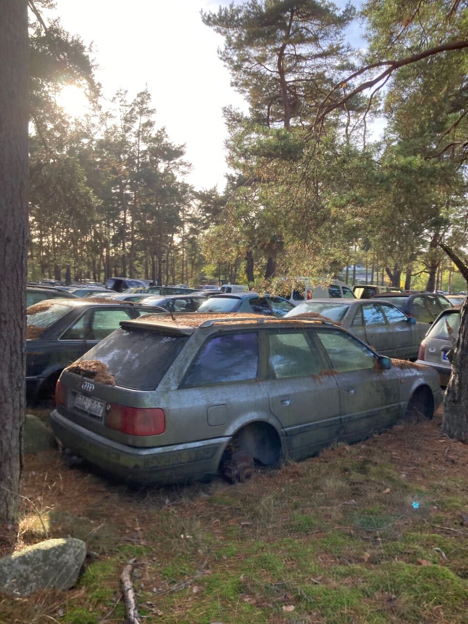 IMG_7331.jpeg.5f119b94a7f4d8bebcf5317b0f2f6556.jpeg