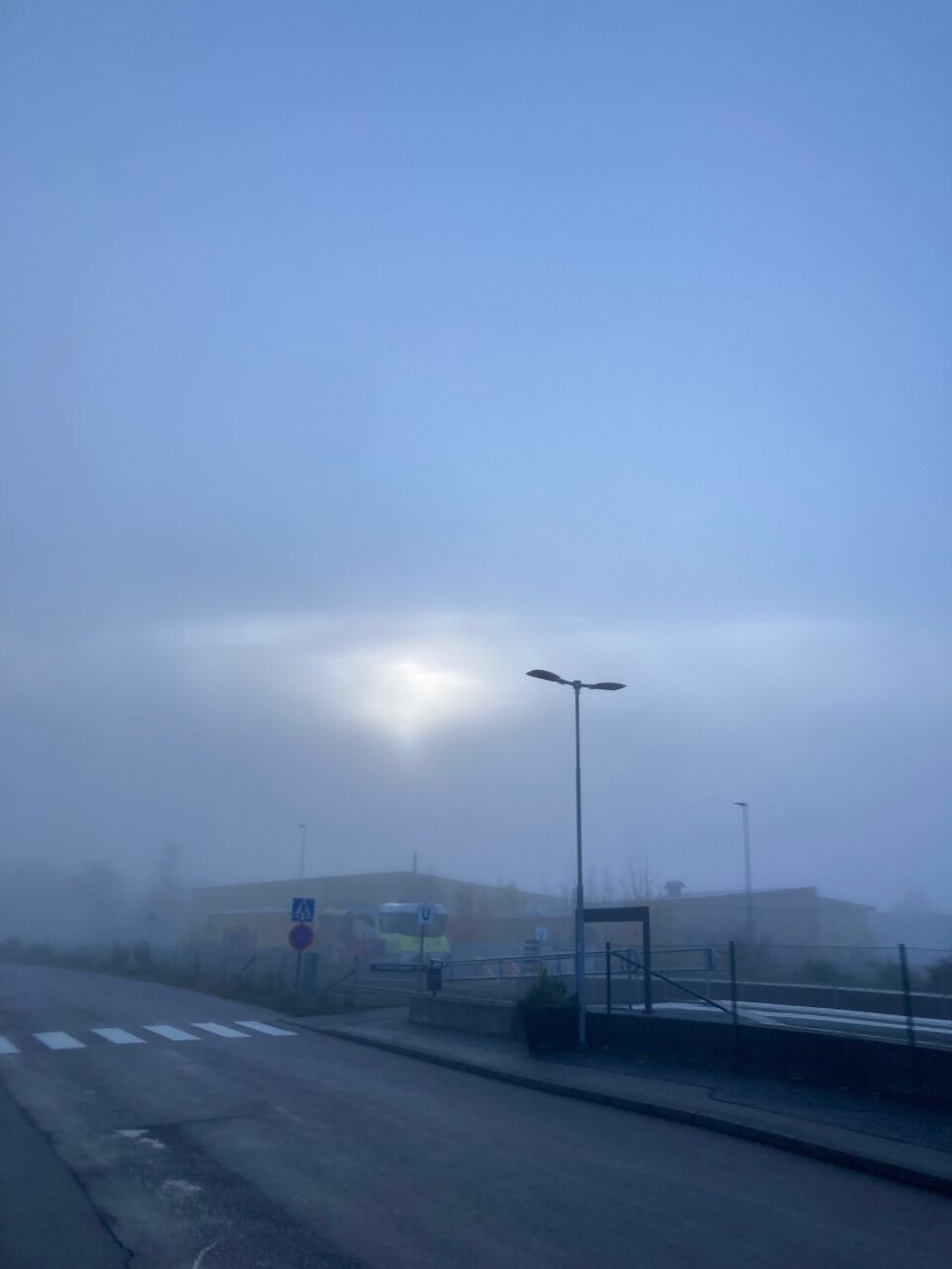 IMG_7466.jpeg.772d6f3b578488d949d9b21f20a3d80f.jpeg