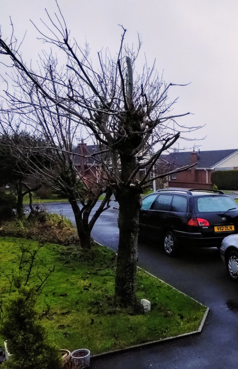 IMG_20251205_160443.jpg.9dd3ade66e56e406288bf4a72a45aaa8.jpg