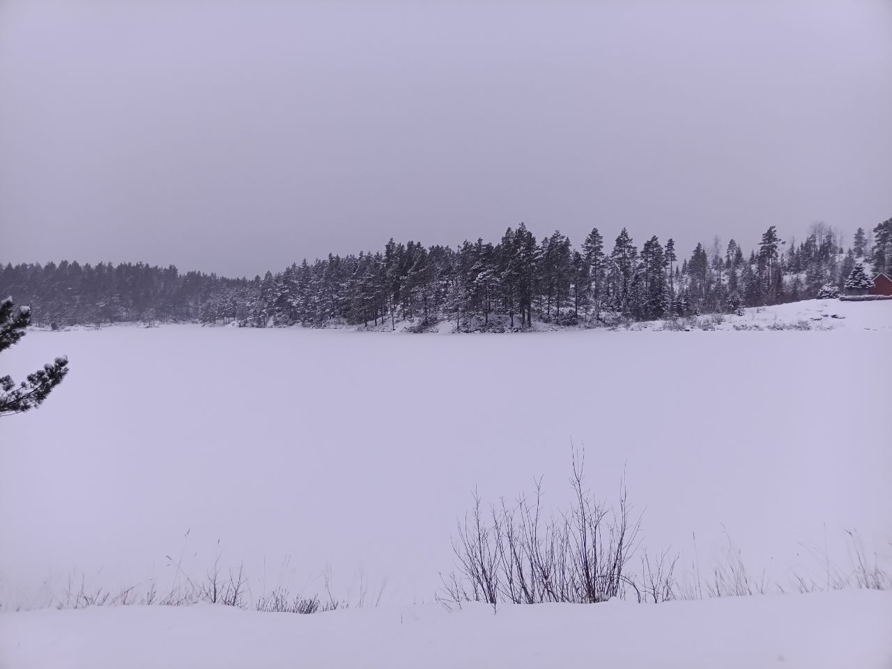 1000017763.jpg.01bc0c4167ac6402ba27208489608b1d.jpg