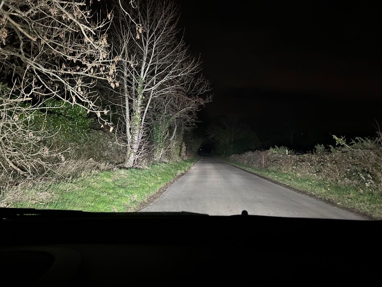 IMG_3200.jpeg.37cf0b69a65ab5f4c9b8e52998996a71.jpeg