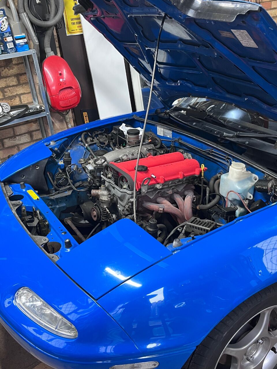 IMG_3879.jpeg.61ed647d8655fbce3bae82beae51cc56.jpeg