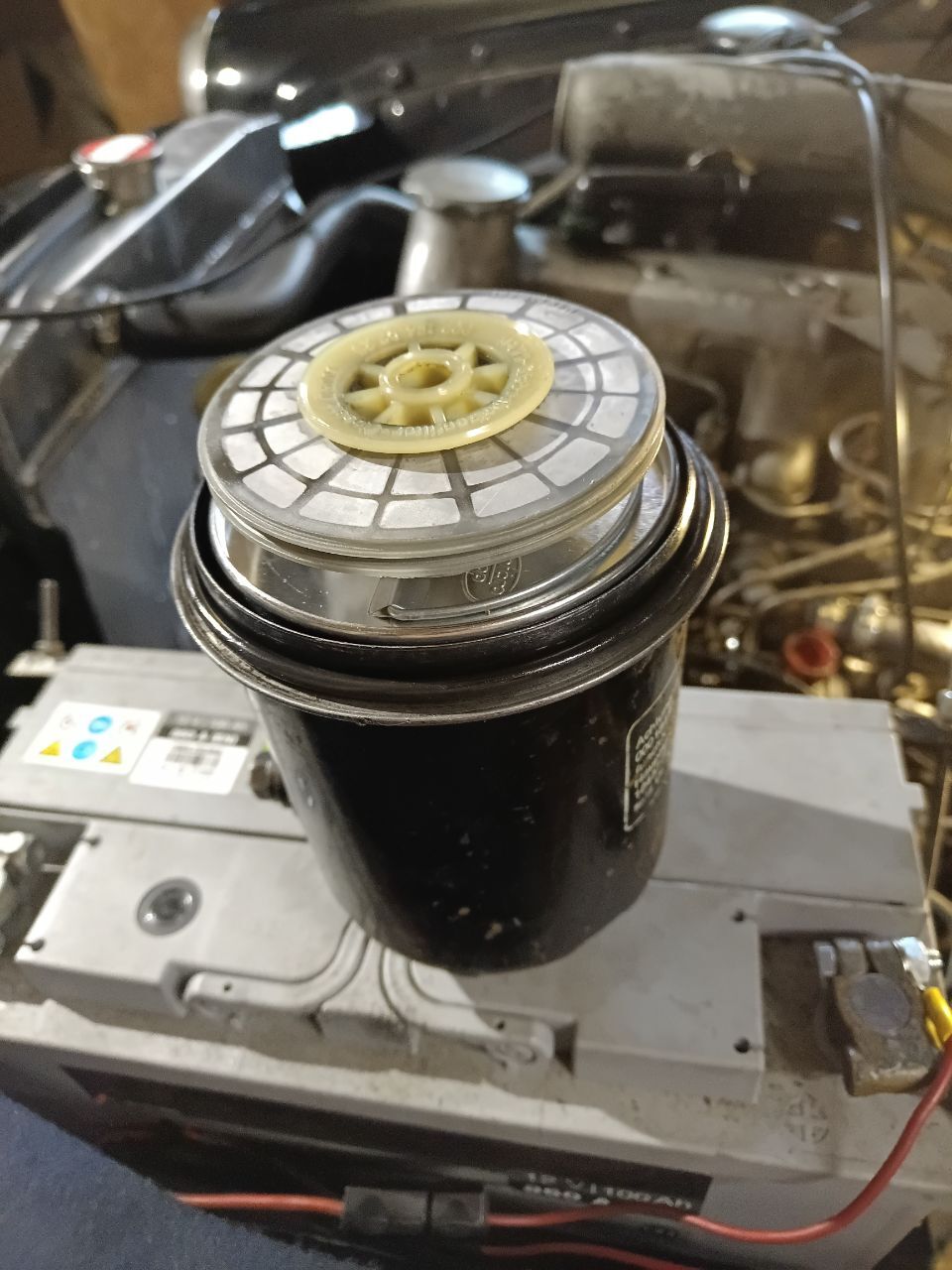 1000026423.jpg.8b545904258fe4e53d753ccee9656bc6.jpg
