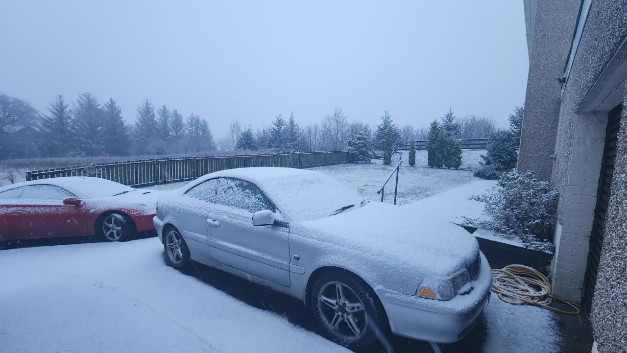 20260108_155502.jpg.225ae83f23770439258ad8dedffb6e1d.jpg