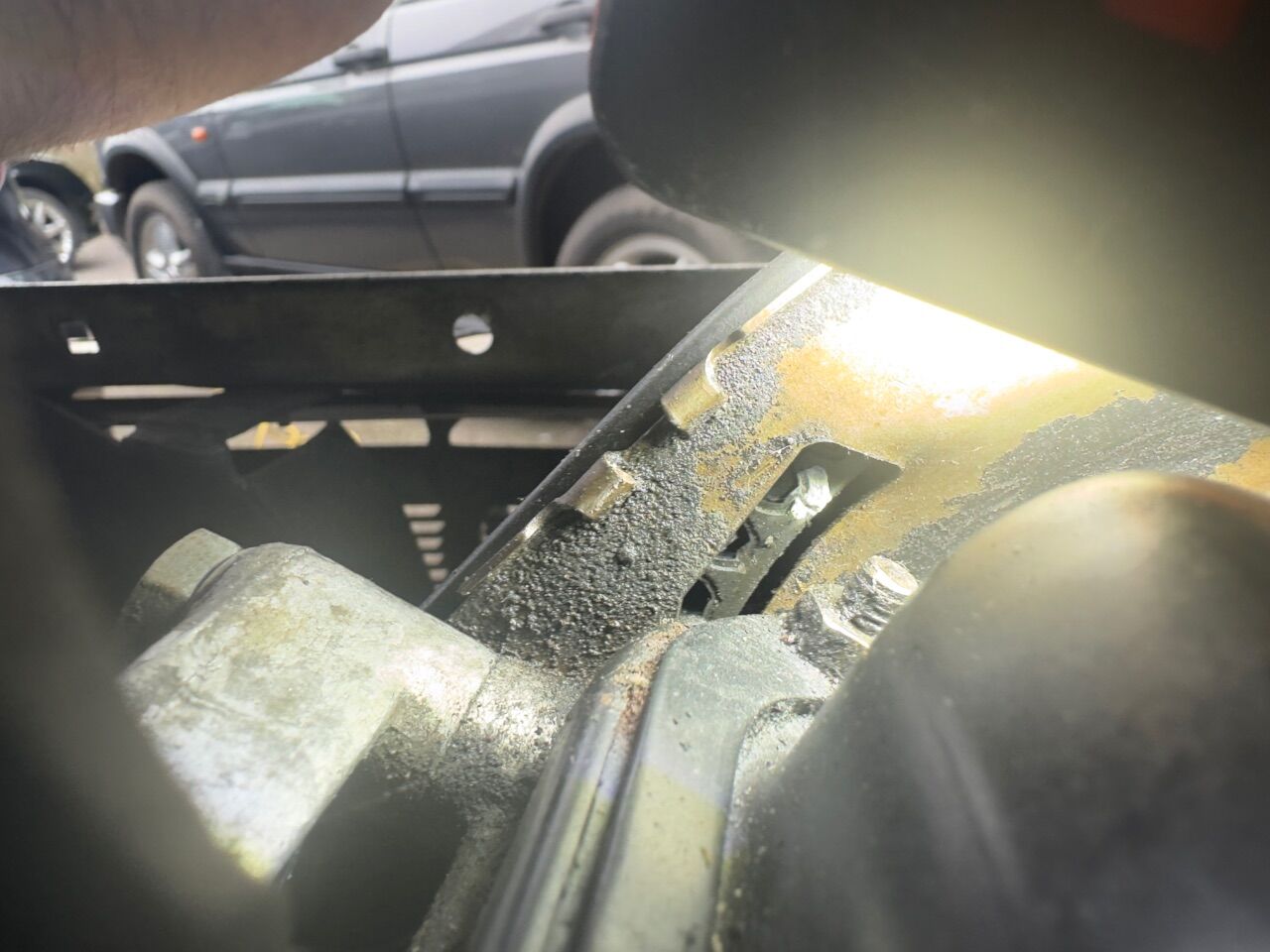 IMG_4259.jpeg.fd6ad73c03f71591d267167ae46ffad6.jpeg