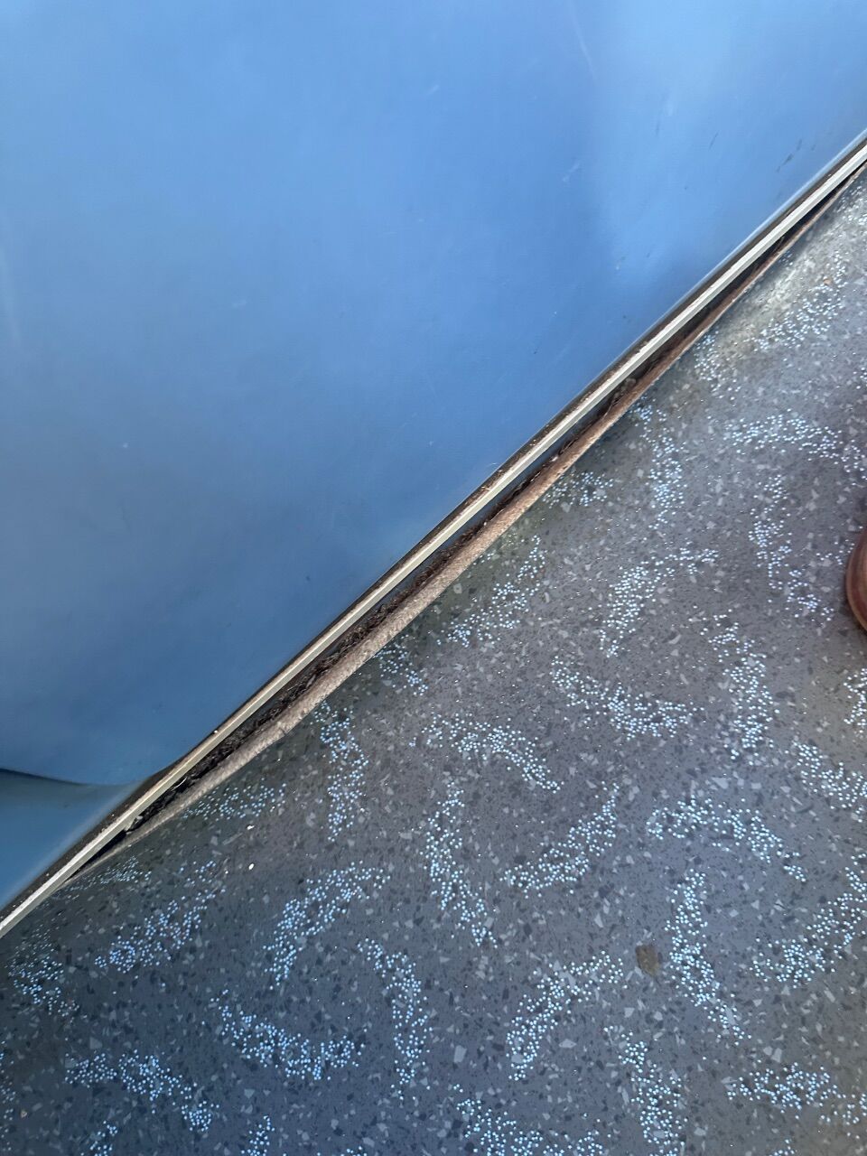 IMG_6601.jpeg.e48a96f5ac15c8318e9a1ed52069de98.jpeg