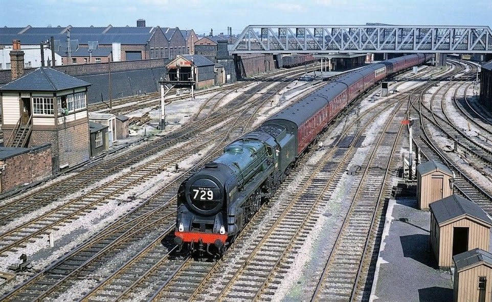 oldoak1.jpg.c6dd21b22eaf57cea6282fe8d0041a73.jpg