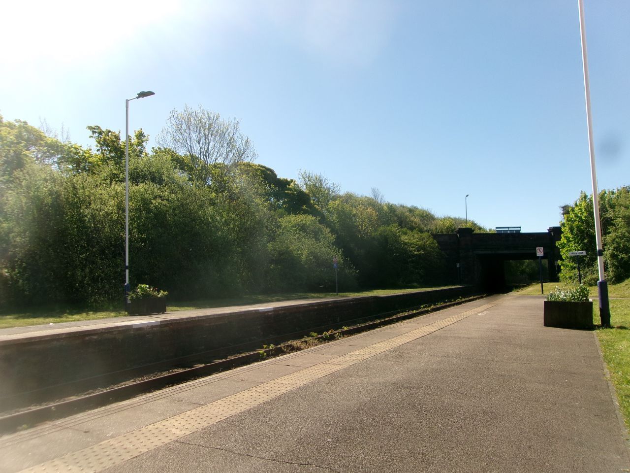100_3397.JPG.16925010fa088ac26225bf20173a1db8.JPG