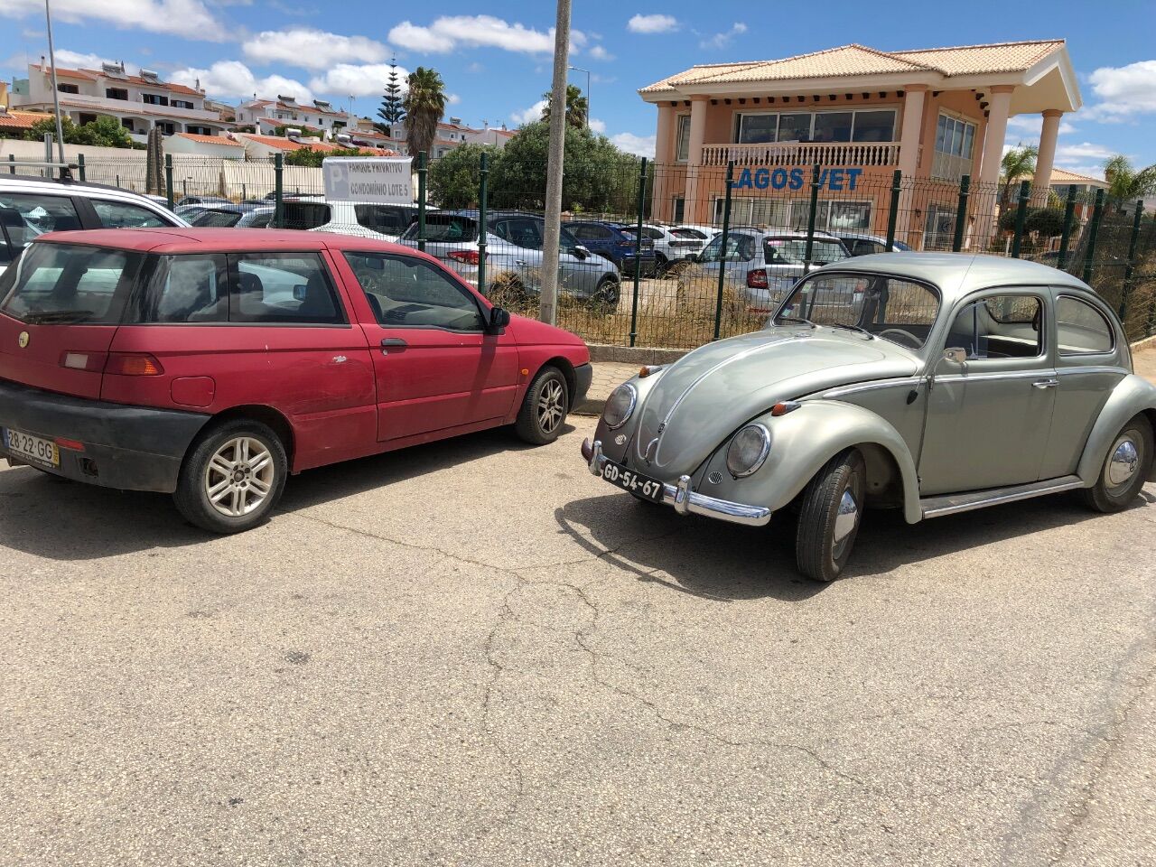 IMG_0231.jpeg.bba70e4b39847c2715aee6e9136c7217.jpeg