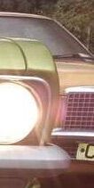 IMG_0784.jpeg.f481c6bb22292b1bdf87094b50981f0a.jpeg