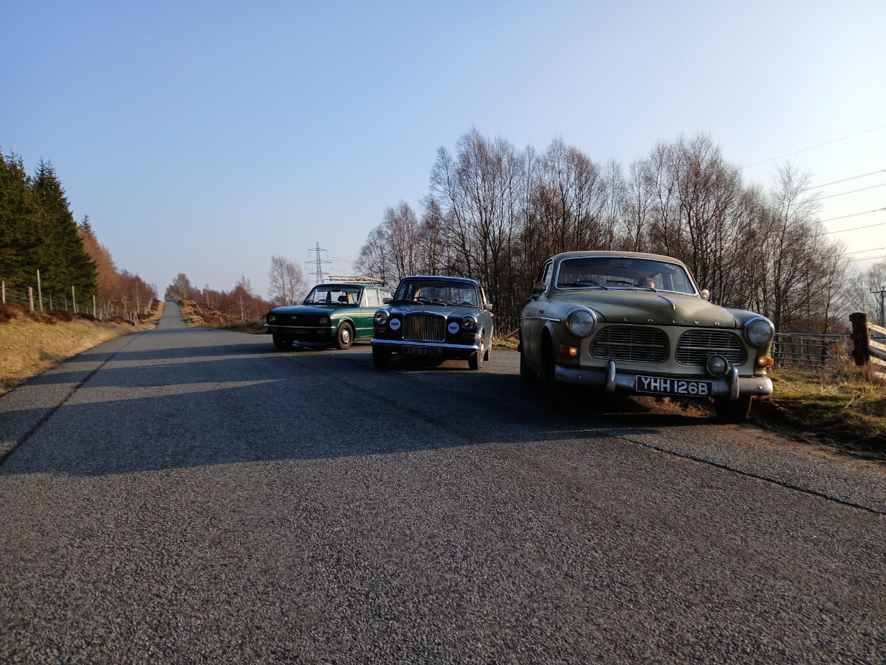 20250309_162635.jpg.bcb0bb76402aaf9ee851821acb8a6107.jpg