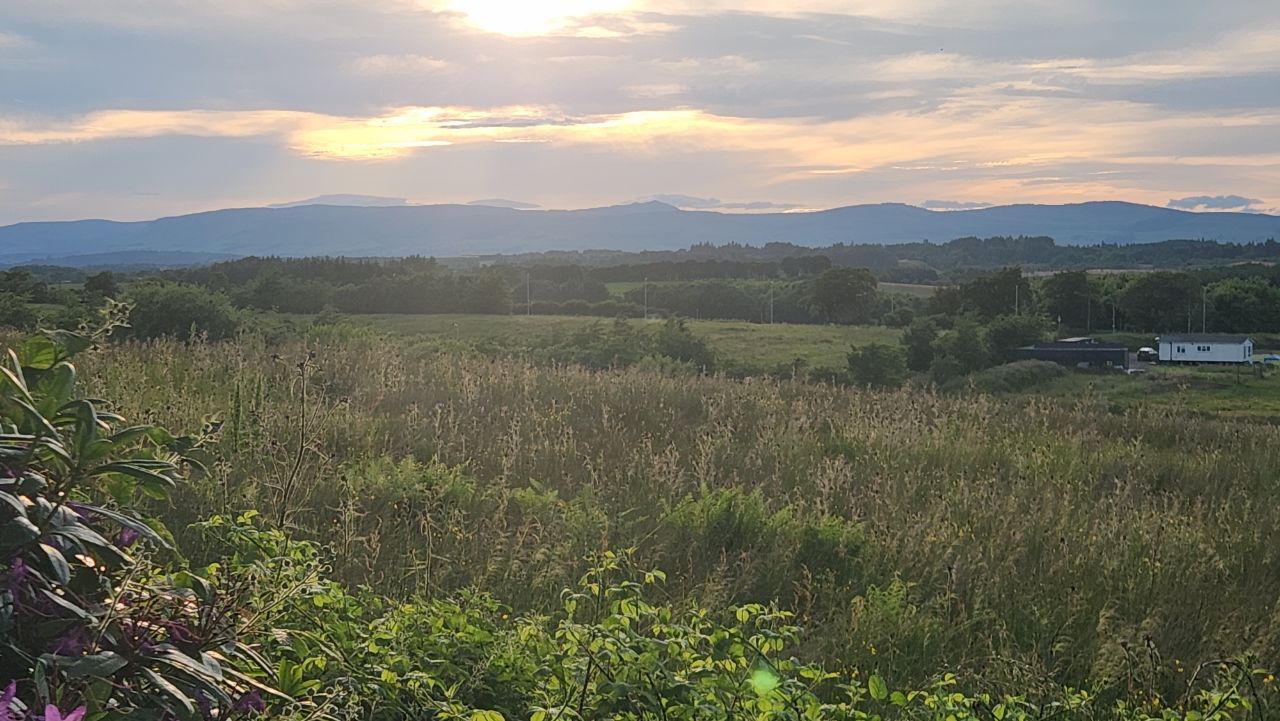 20260623_205534.jpg.638a639e6ccadad8c0bb321ee9be6b56.jpg