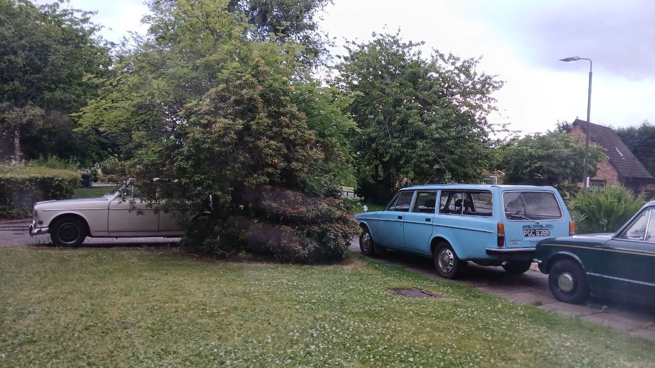 20260628_200308.jpg.c3edecb8aa6a3089828ba6e469b790ac.jpg